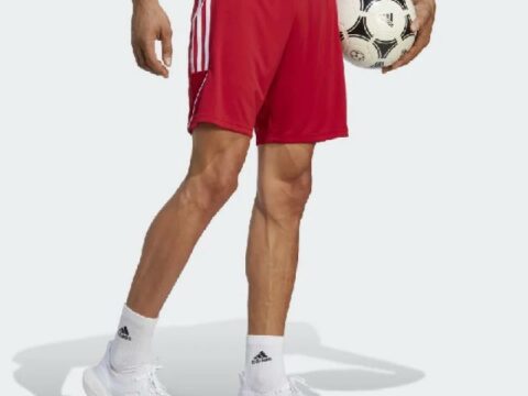 Adidas Tiro 23 Shorts, rød