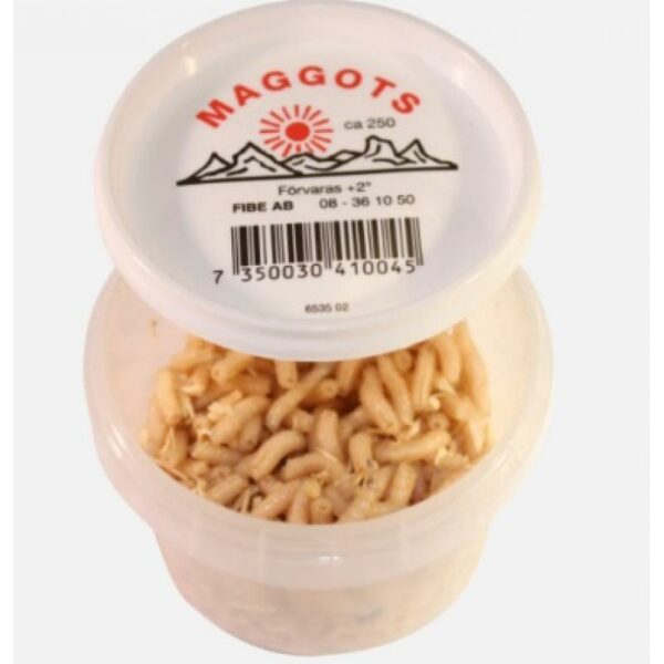 Överkalix Överkalix Maggot Hvit 000.502 Alvdal-Tynset Sport, Tynset 1