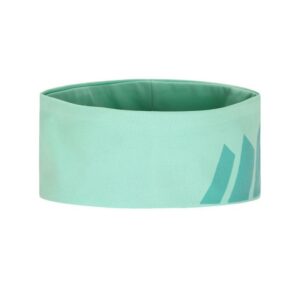 Skogstad-Skogstad Nybø Jr panneband-022175-Alvdal-Tynset Sport, Tynset-1 Skogstad Skogstad Nybø Jr panneband 022175 Alvdal-Tynset Sport, Tynset 1