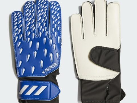 Adidas Predator Glove Training Junior
