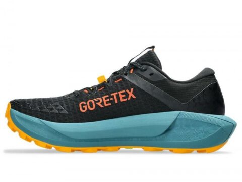 Asics GEL-Trabuco 13 GTX herre
