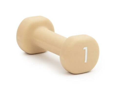 Abilica DumbBells 1 kg