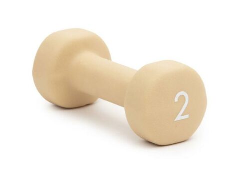 Abilica DumbBells 2 kg