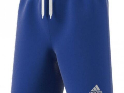 Adidas Entrada 22 Shorts Junior, Blå