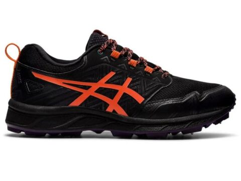 Asics Gel-Fujisetsu 3 GTX dame