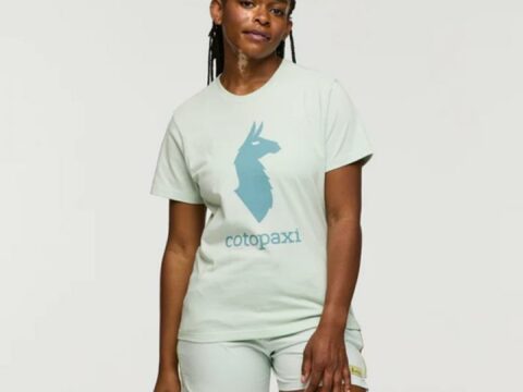 Cotopaxi Cotopaxi  Llama Block T-Shirt, foam