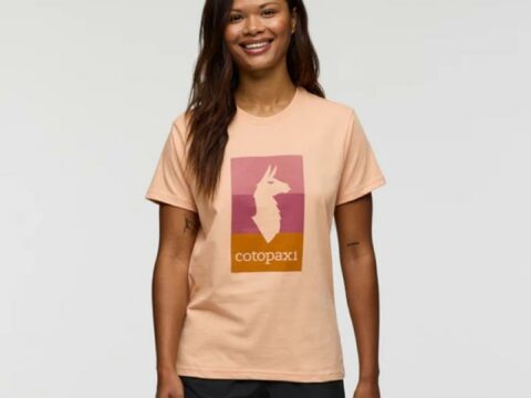 Cotopaxi Cotopaxi  Llama Block T-Shirt, apricot