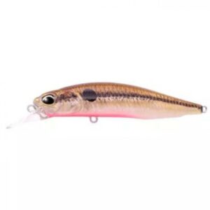 DUO Realis Rozante 77SP Solan Alvdal-Tynset Sport 1