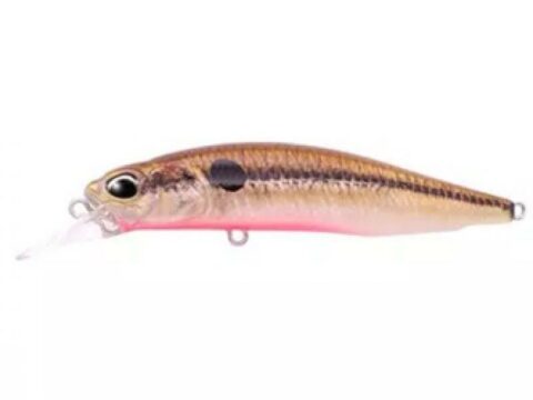 DUO Realis Rozante 77SP Solan