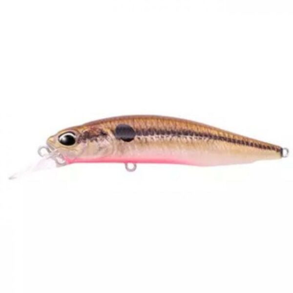 DUO Realis Rozante 77SP Solan Alvdal-Tynset Sport 1