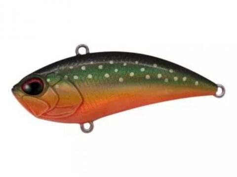 DUO Realis Vibration 62 Iwana II