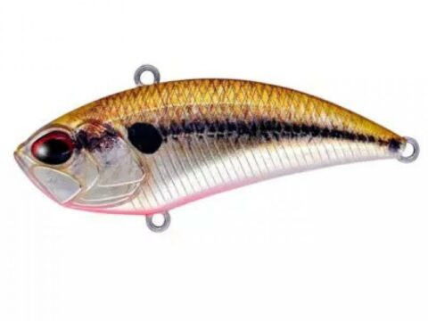 DUO Realis Vibration 62 Solan Sunshine