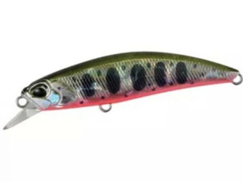 DUO Spearhead Ryuki 60S Yamame Red Belly