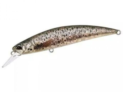 DUO Spearhead Ryuki 70S 9g Brown Trout ND
