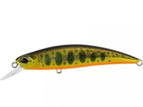 DUO Spearhead Ryuki 70S 9g Gold Yamame