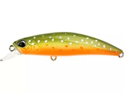 DUO Spearhead Ryuki 70S 9g Iwana II