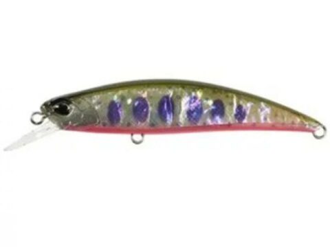 DUO Spearhead Ryuki 70s AWABI Yamame Red Belly Awabi