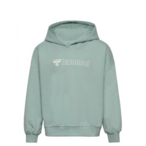 Hummel Hmloctova Hoodie 224028 Alvdal-Tynset Sport 1