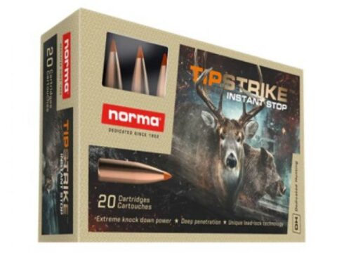 Norma Tipstrike 308 11,0g