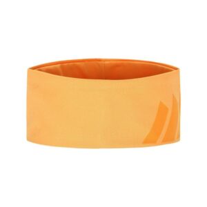 Skogstad-Nybø-panneband-022173-Alvdal-Tynset-Sport-1 Skogstad Nybø panneband 022173 Alvdal-Tynset Sport 1