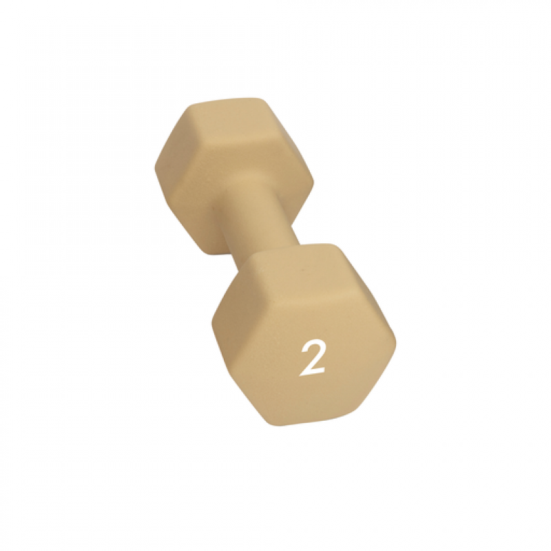 Abilica Abilica Dumbbell 2 Kg 374276 Alvdal-Tynset Sport, Tynset 1