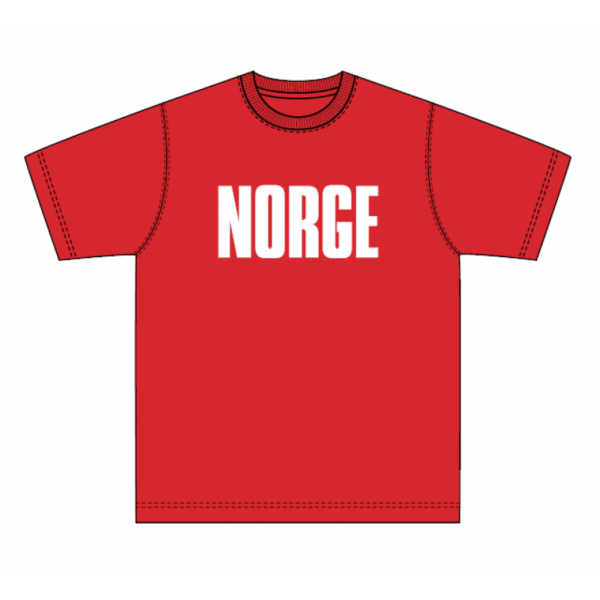 NFF T-SKJORTE NORGE KIDS U110023-04 Alvdal-Tynset Sport, Tynset 1