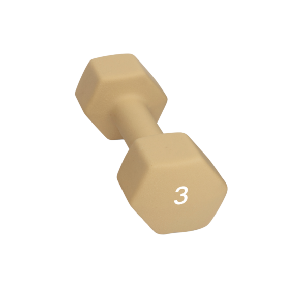 Abilica Abilica Dumbbell 3 Kg 374277 Alvdal-Tynset Sport, Tynset 1