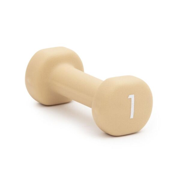 Abilica DumbBells 1 kg 373290 Alvdal-Tynset Sport 1