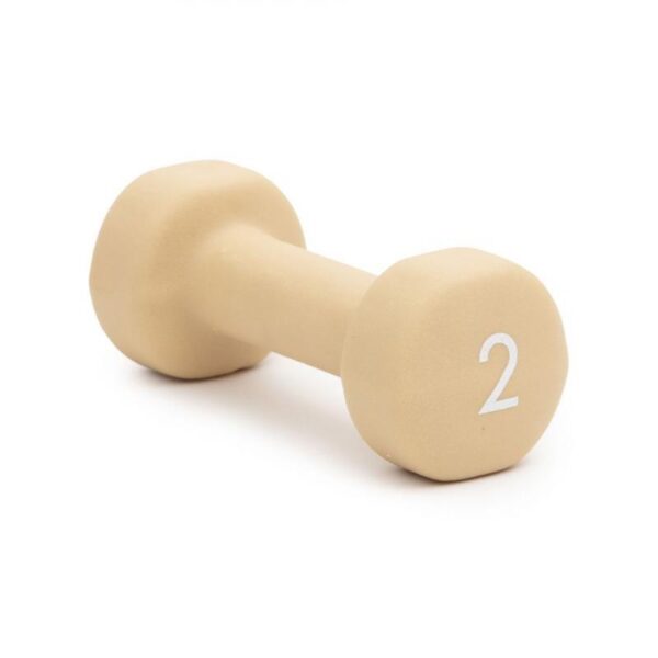 Abilica DumbBells 2 kg 373291 Alvdal-Tynset Sport 1