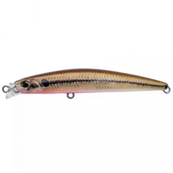 DUO Beach Walker Axcion slim 85 (Solan) Alvdal-Tynset Sport 1