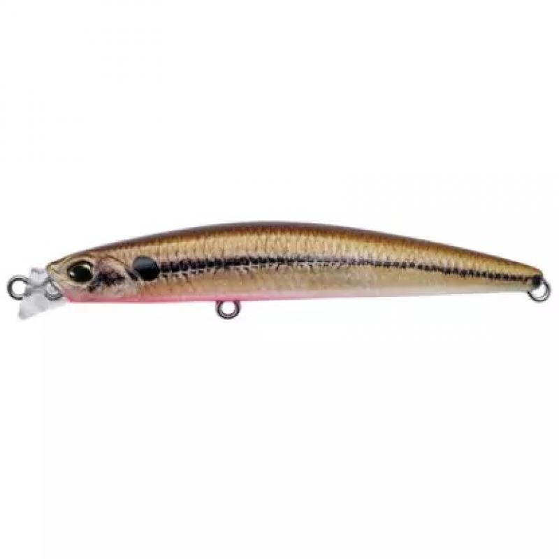 DUO Beach Walker Axcion slim 85 (Solan) Alvdal-Tynset Sport 1
