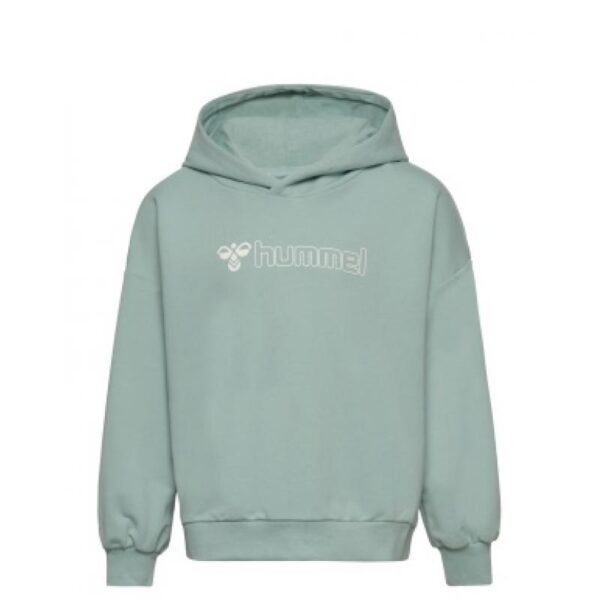 Hummel Hmloctova Hoodie 224028 Alvdal-Tynset Sport 1